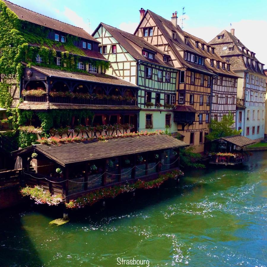 Chalet Du Silberrain Pres De Colmar - Cheminee, Sauna, Piscine Partagee Osenbach Bagian luar foto