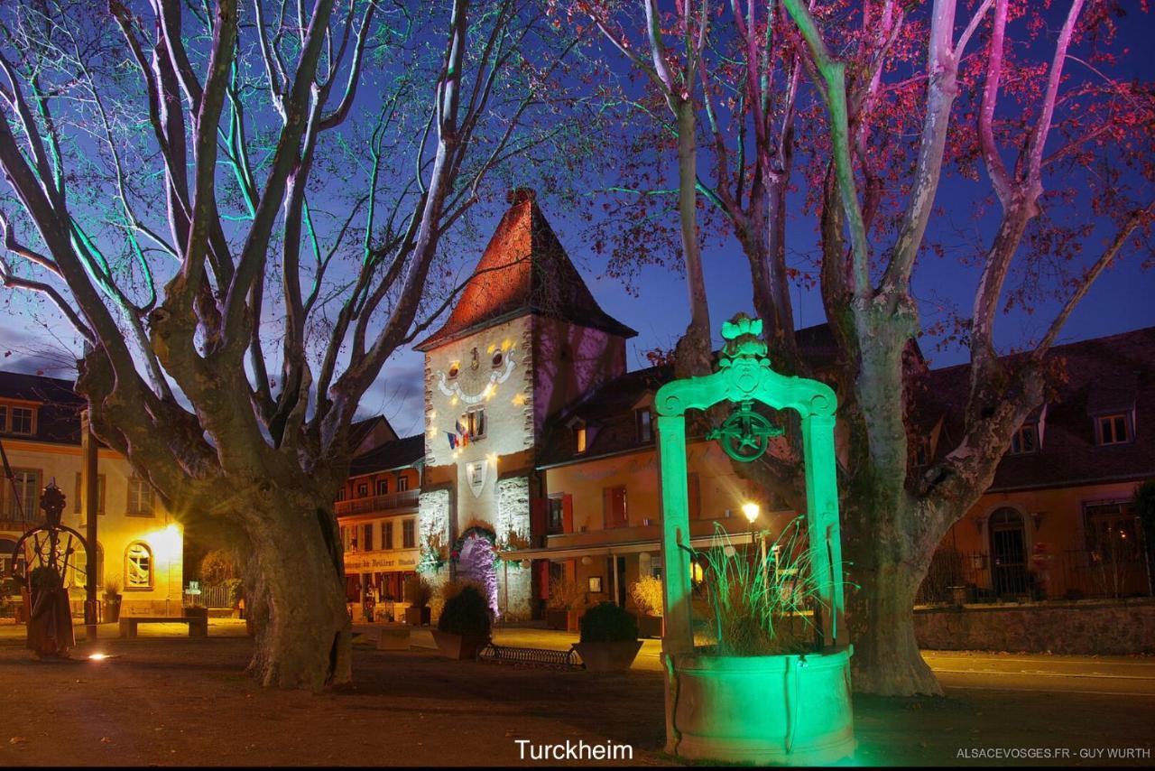 Chalet Du Silberrain Pres De Colmar - Cheminee, Sauna, Piscine Partagee Osenbach Bagian luar foto