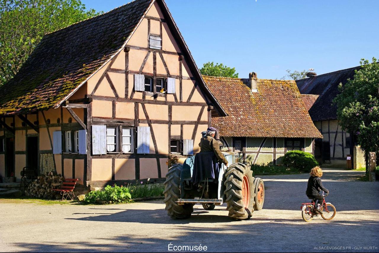 Chalet Du Silberrain Pres De Colmar - Cheminee, Sauna, Piscine Partagee Osenbach Bagian luar foto