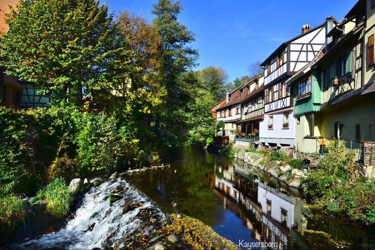 Chalet Du Silberrain Pres De Colmar - Cheminee, Sauna, Piscine Partagee Osenbach Bagian luar foto